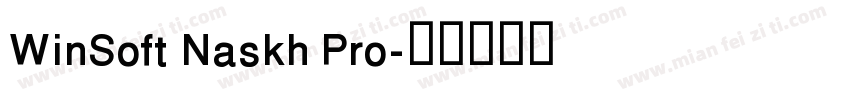 WinSoft Naskh Pro字体转换